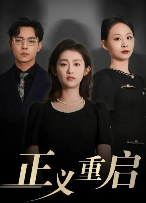 电视剧《暗夜谍影》